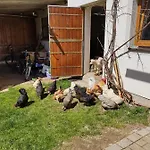 Lehenbrandthof Apartment Leogang