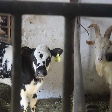 Апартаменты Lehenbrandthof