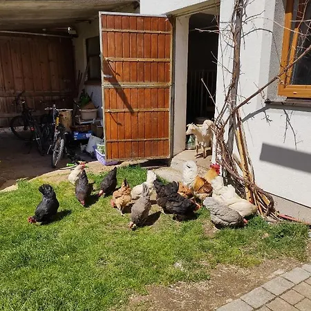 Lehenbrandthof Daire Leogang