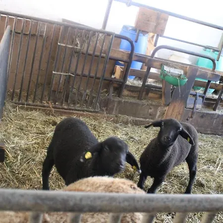 アパート Lehenbrandthof *