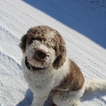 Lehenbrandthof Leogang