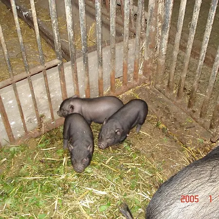 Lehenbrandthof Daire Leogang