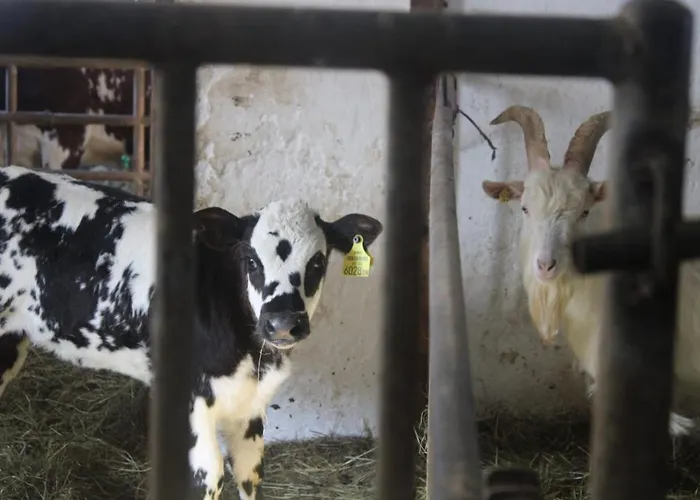 아파트 Lehenbrandthof