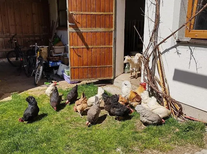 Lehenbrandthof 아파트 레오강