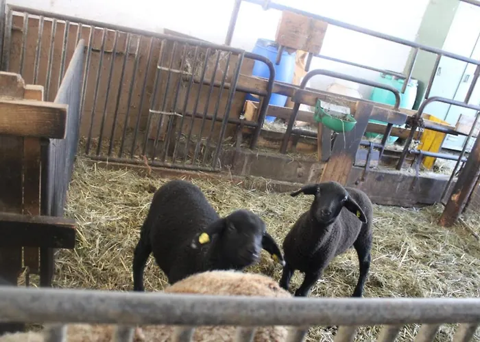 아파트 Lehenbrandthof *