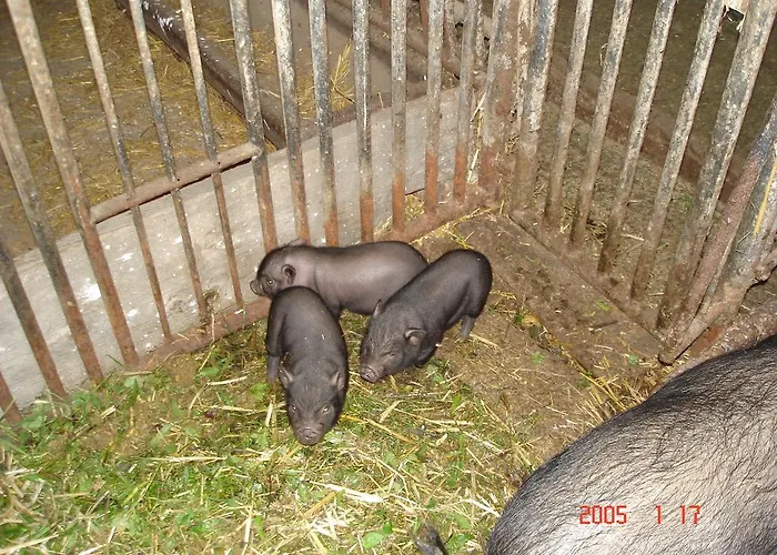 Lehenbrandthof 아파트 레오강