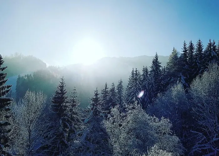 Lehenbrandthof * Leogang